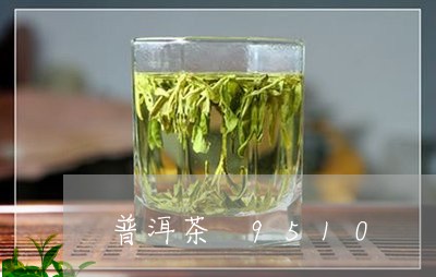 普洱茶 9510/2023031777163